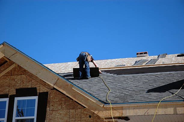 Best Storm Damage Roof Repair  in Haleiwa, HI